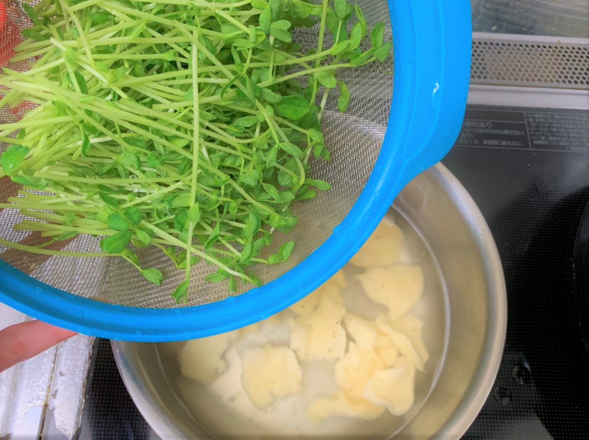 【漫画飯】小麦と豆苗さえあればOKな節約メシ！『凪のお暇』に登場する「豆苗のすいとん」を作ってみたぞ ロケット