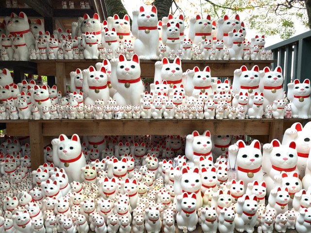 豪徳寺の招き猫 2号サイズ 通販
