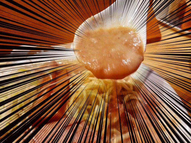 こ、これはラーメンのスープなのか!? 京都最強の濃度と噂される「麺屋 極鶏」で衝撃の一杯に出会った / 京都ラーメン巡り