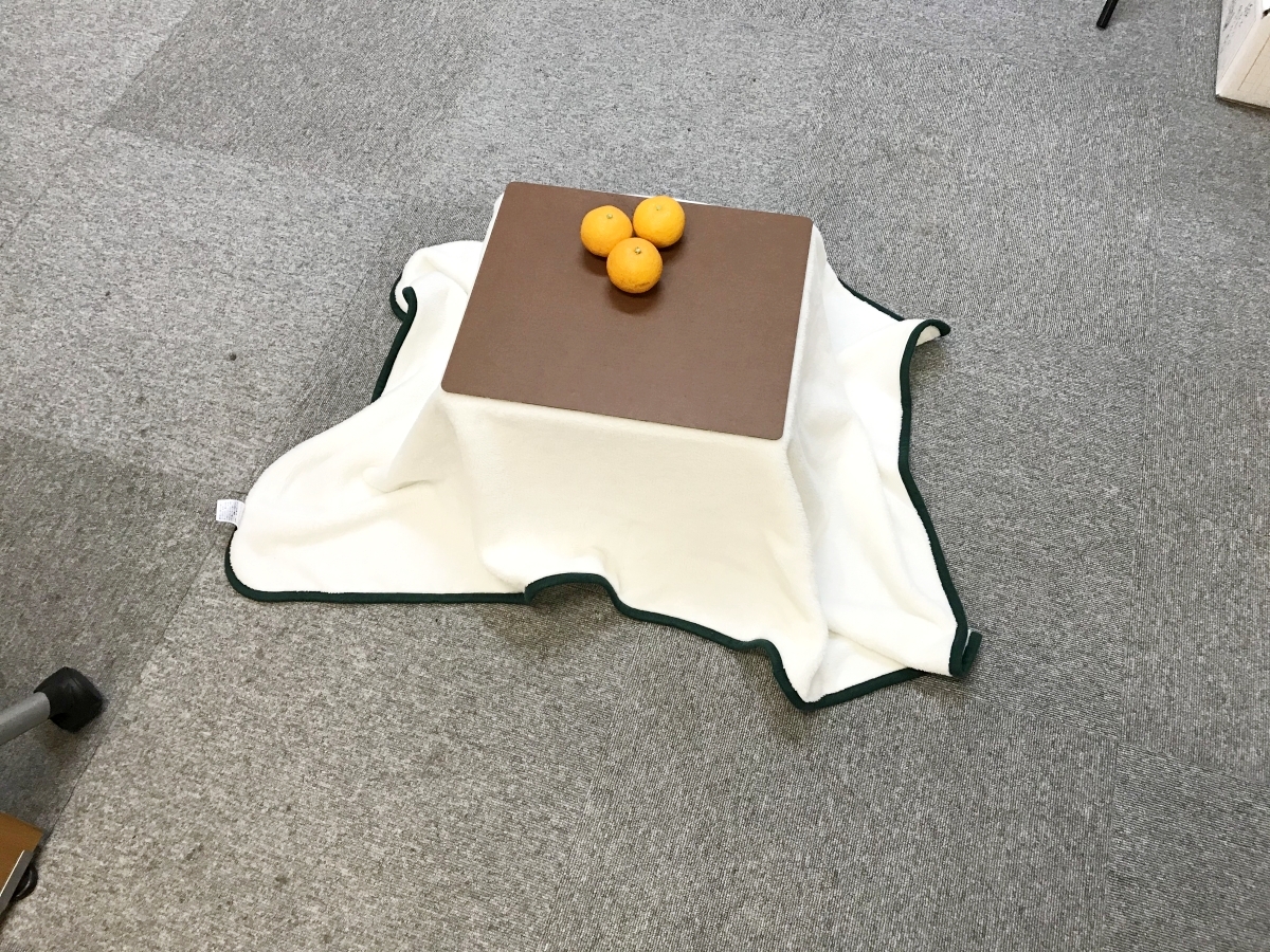 天才の発想】ネットで話題の猫専用こたつ「猫とこたつと思い出みかん 