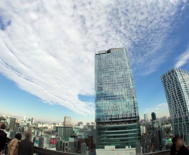 【誘惑】『渋谷フクラス』17階ルーフトップガーデン「SHIBU NIWA」からの景色が素晴らしい / 仕事怠けて空だけ見てたら？