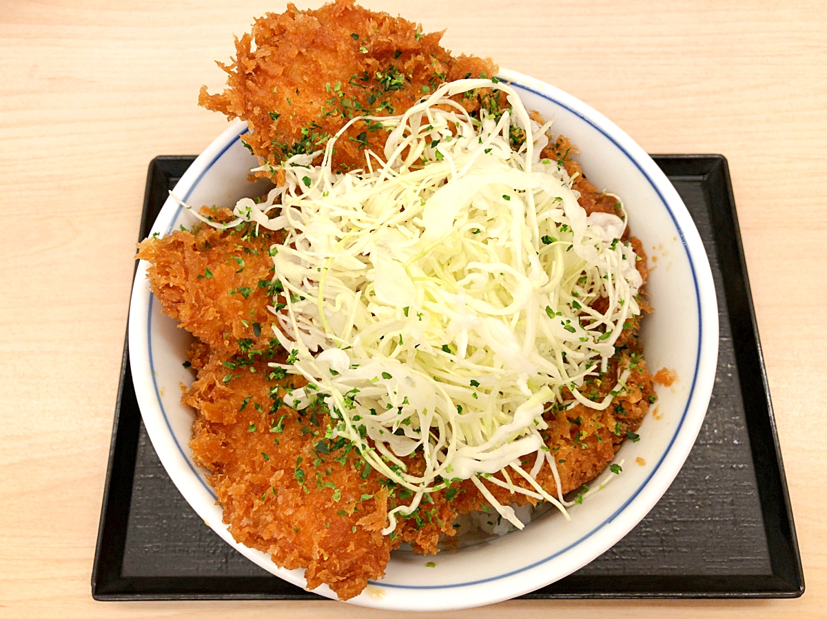 解決 かつやの新商品 タレカツ丼 が圧倒的な超ボリュームで震えた テイクアウトすれば丸一日は買い物が不要に 外出自粛の最終兵器説 ロケットニュース24