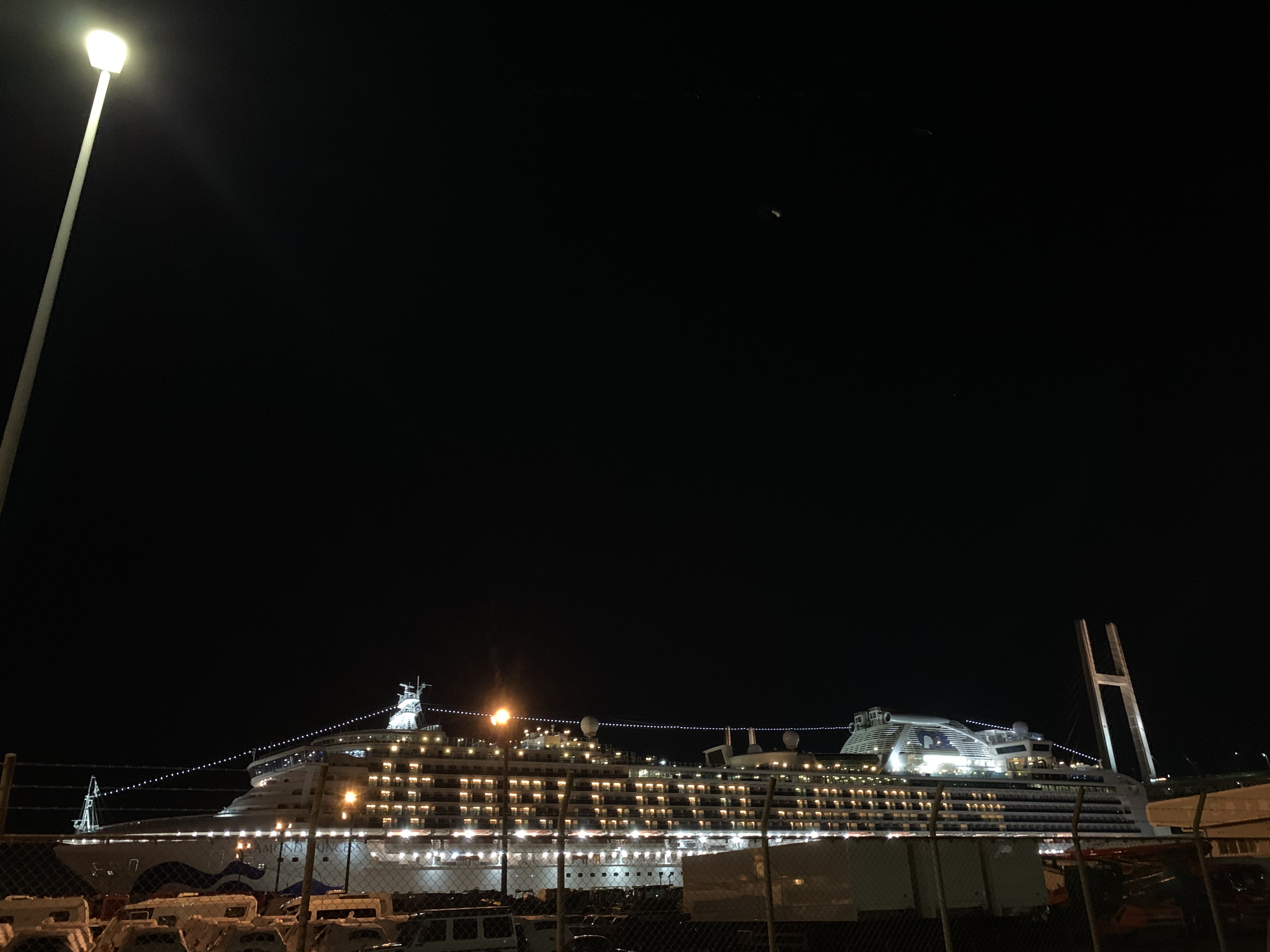 3月25日に横浜を発ったダイヤモンド プリンセス号 最後のメッセージは 感謝 ロケットニュース24