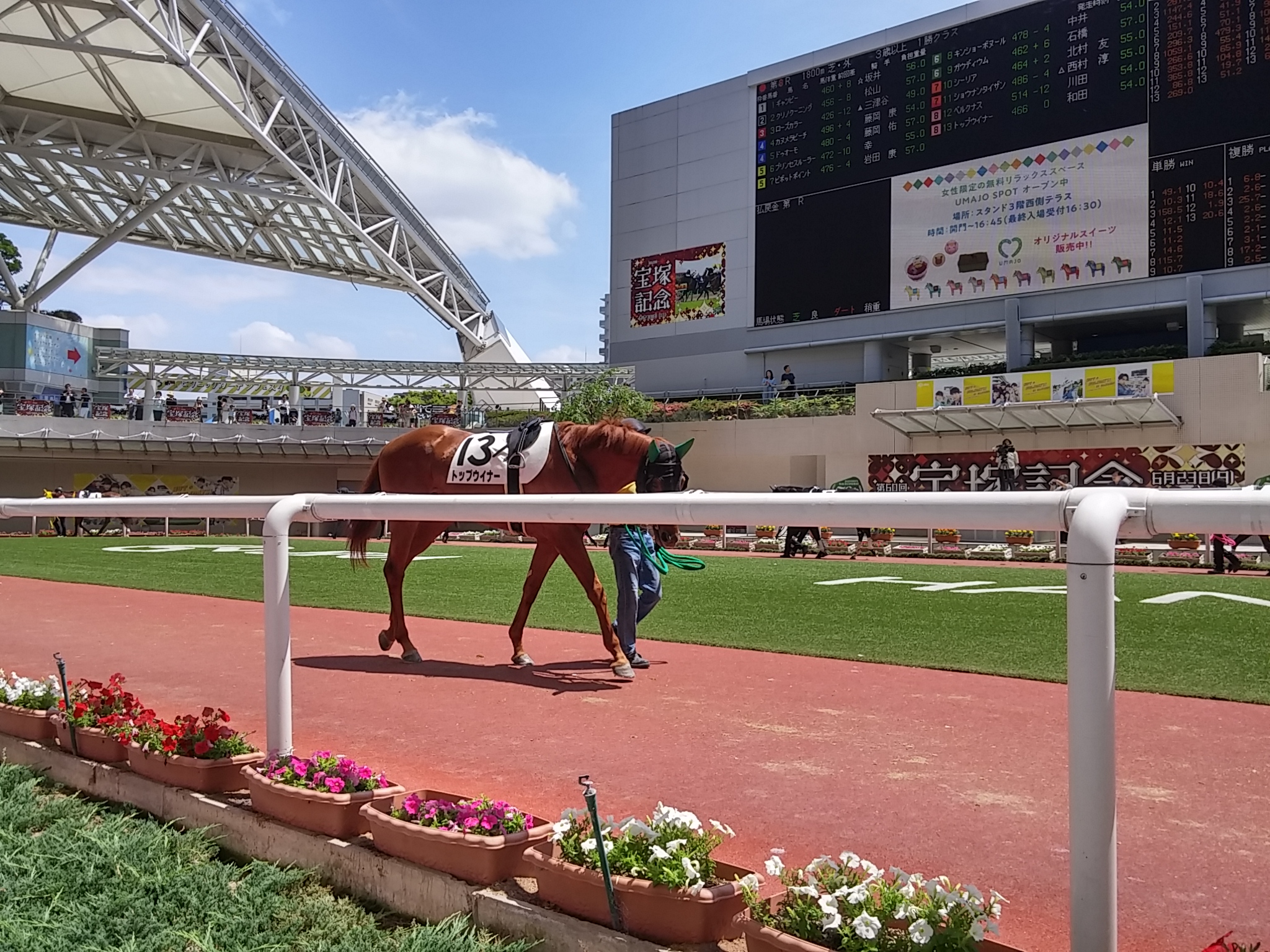 【競馬予想】皐月賞は無敗G1馬の一騎打ちムード！ コントレイル vs サリオス、両馬の不安材料を比較してみると