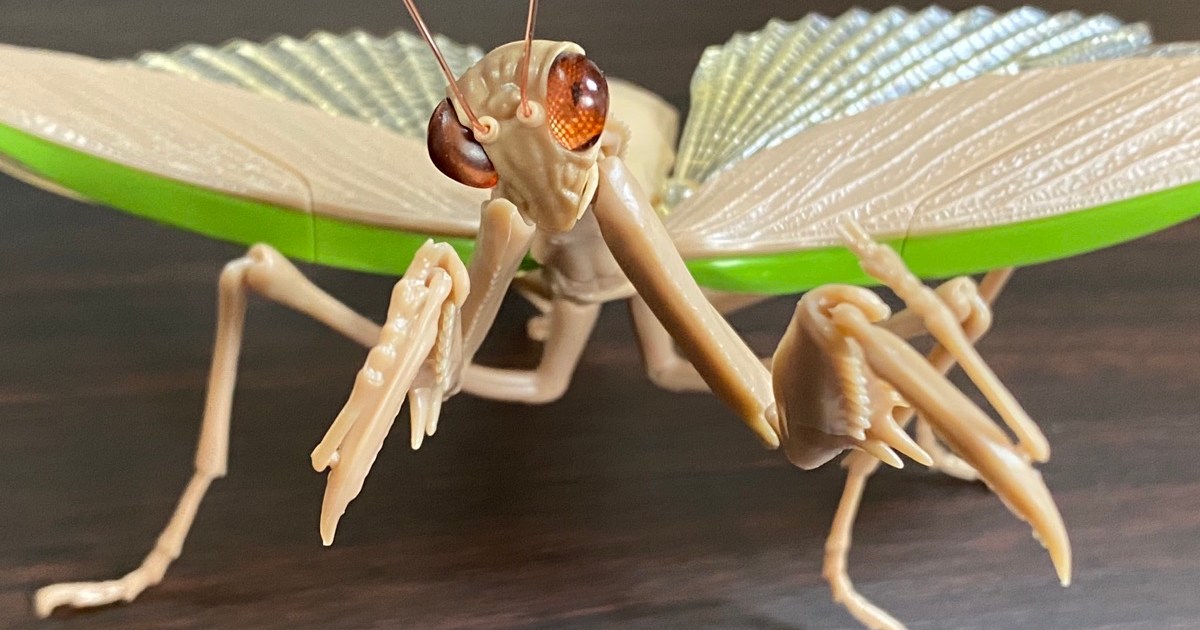 ガチャガチャ】全長15cmのオオカマキリが常軌を逸したこだわりで怖い