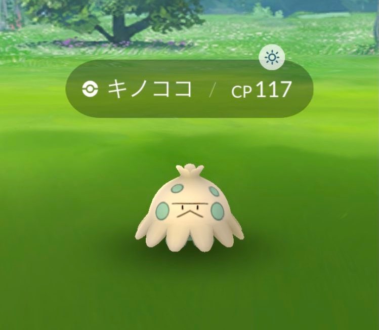 【ポケモンGO】キノココのスポットライトアワーが激アツすぎる理由 | ロケットニュース24