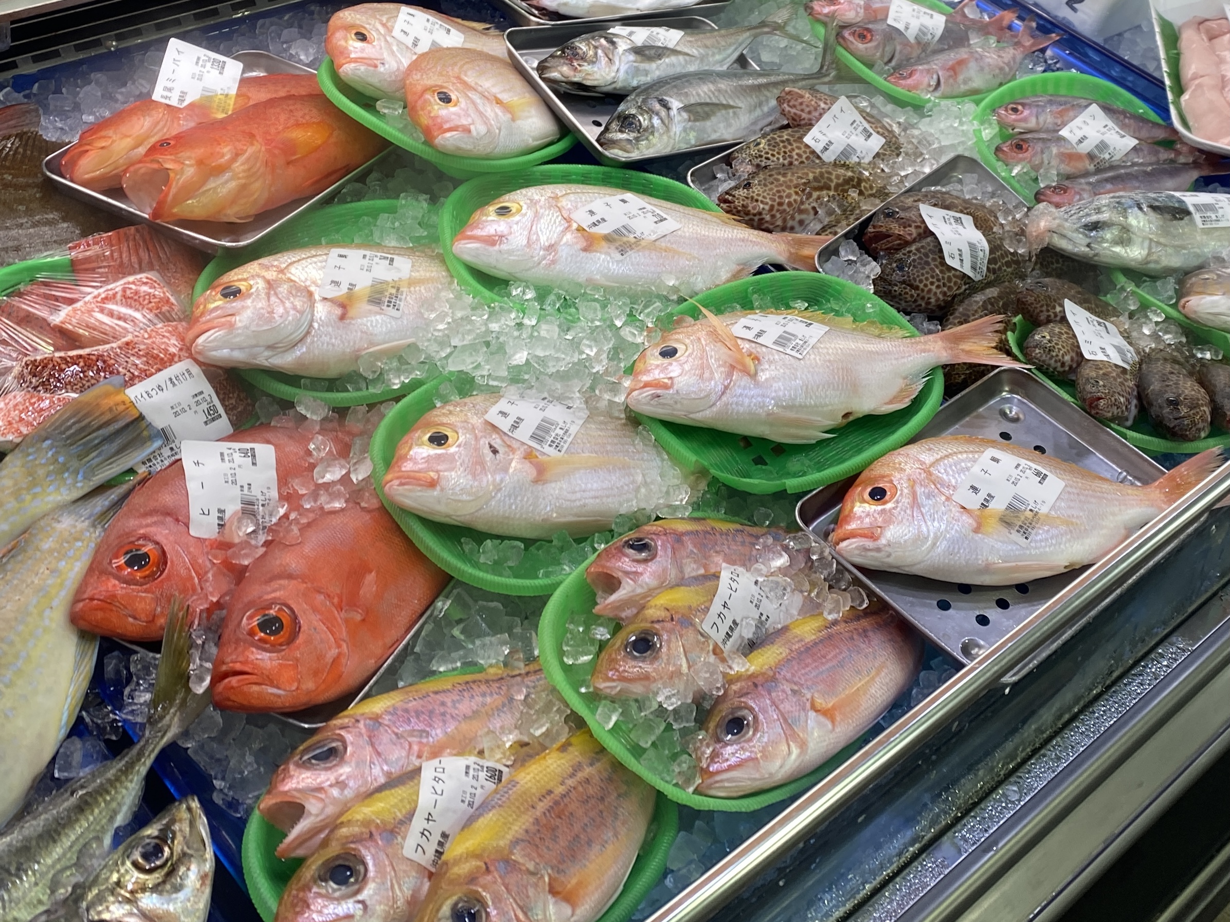 【クセ強っ】沖縄の道の駅で「聞いたことがない名前の魚」ぜ〜んぶ食べてみた / 今日は『道の駅の日』 ロケットニュース24