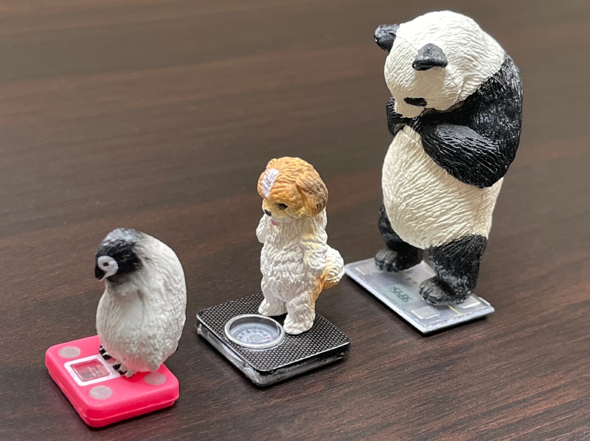 カプセルトイ めちゃくちゃ体重を気にする動物たち タニタとコラボの動物フィギュアがジワる ロケットニュース24