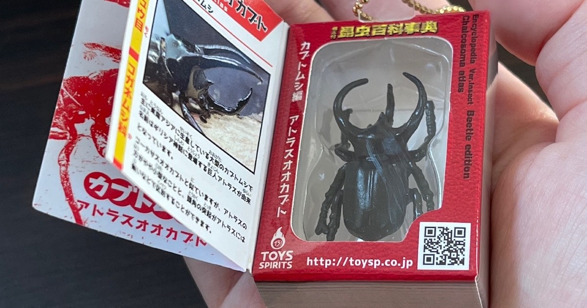 カプセルトイ デアゴスティーニみたいな昆虫図鑑 夏休みの少年心をくすぐる たった0円の標本コレクション ロケットニュース24