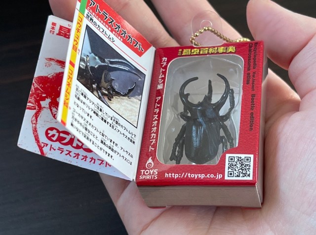 【カプセルトイ】デアゴスティーニみたいな昆虫図鑑！ 夏休みの少年心をくすぐる、たった200円の標本コレクション