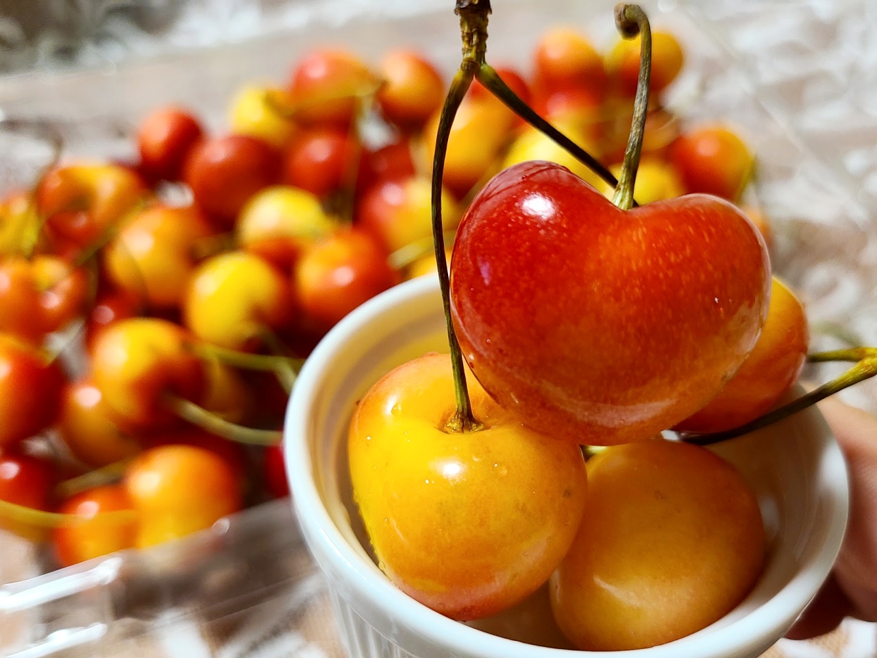 re-nia8.jpg?w=1200&h=630&crop=1