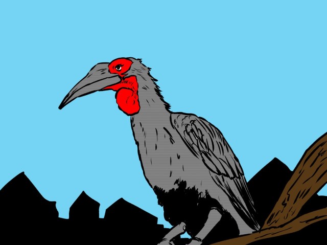 【怪鳥】謎の巨大鳥「ミナミジサイチョウ」についてマサイ族に聞いてみた結果 → もしも発見したらオレらはこうする / マサイ通信：第481回