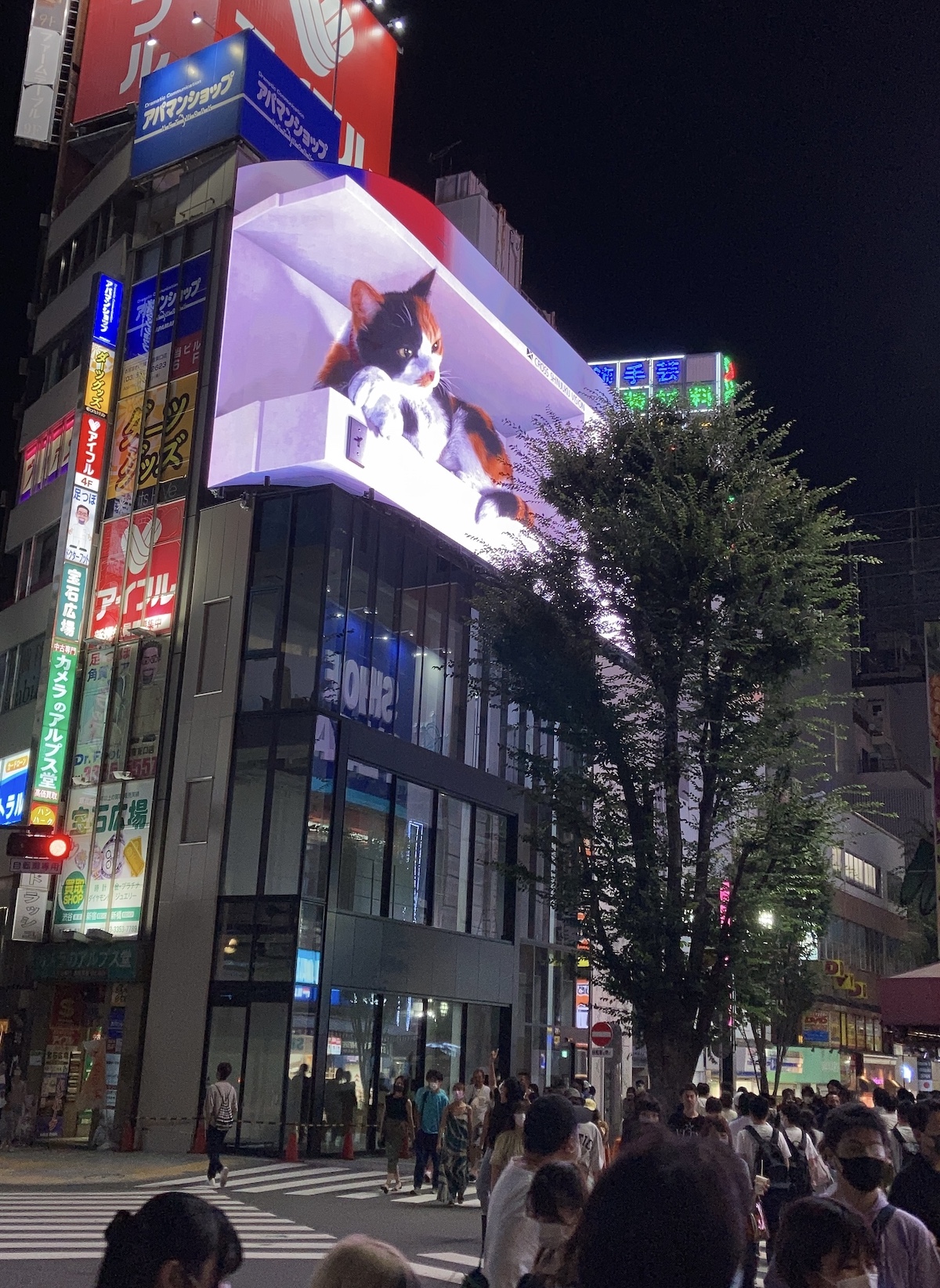 激 かわ 掲示板