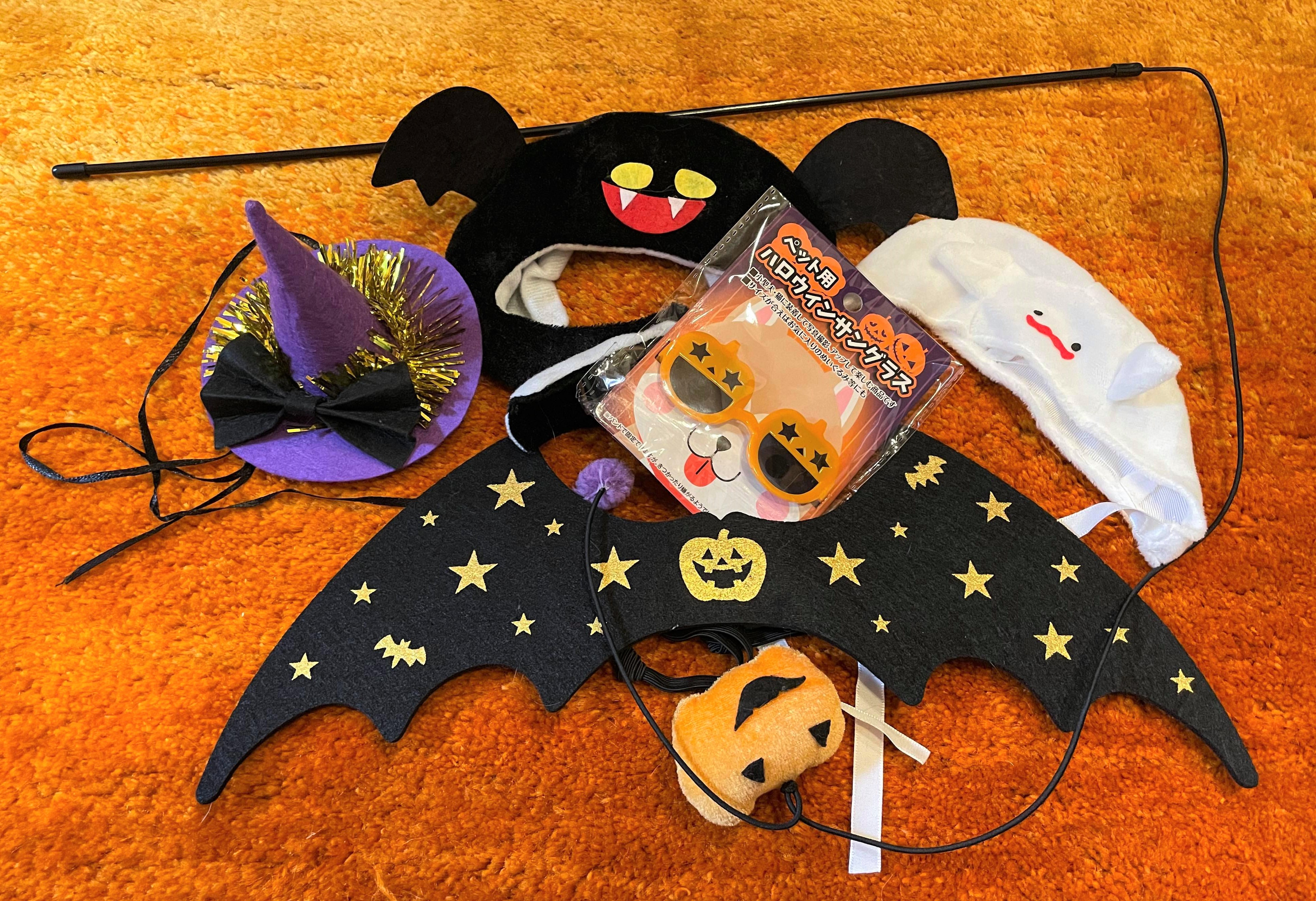 100均で u201cペット用のハロウィングッズu201d を買ってみた  ロケットニュース24