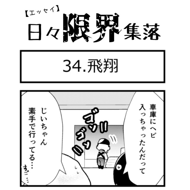 【エッセイ漫画】日々限界集落 34話目「飛翔」