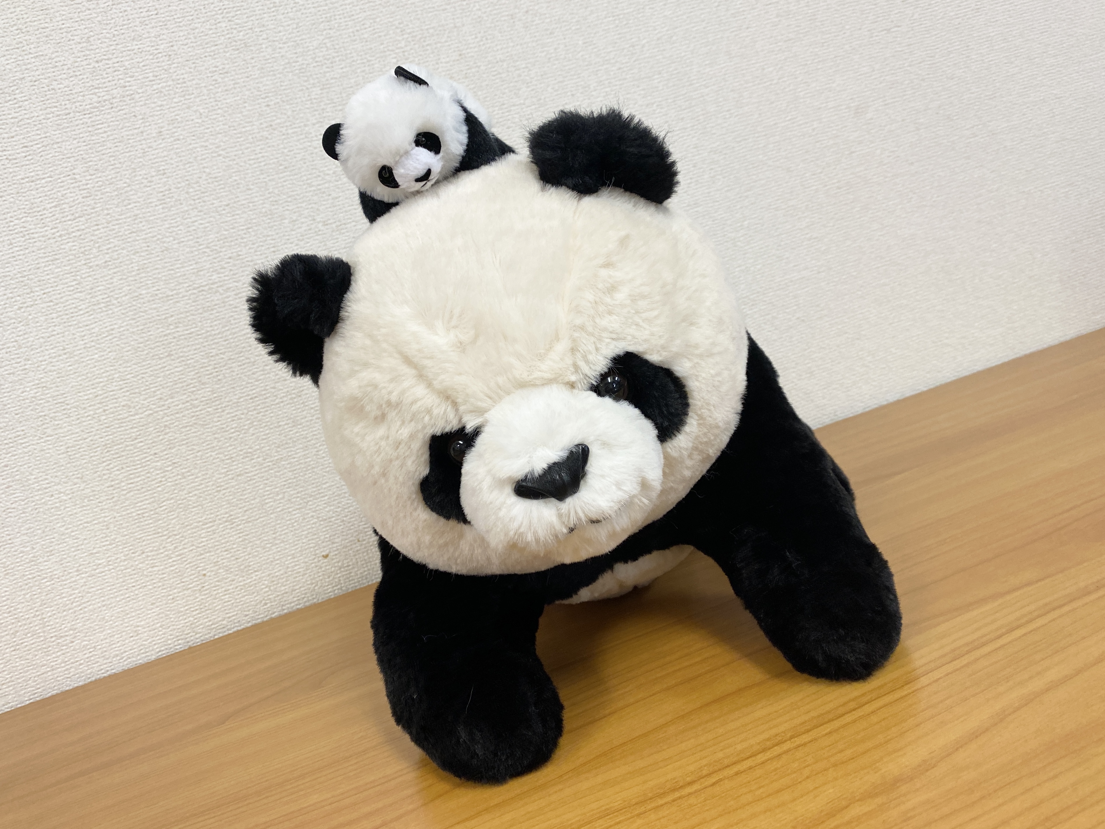 ガチ可愛い 上野動物園の パンダ福袋 を購入して気付いた大切なこと これはパンダじゃないんだ シャンシャンなんだ ロケットニュース24