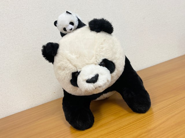 【ガチ可愛い】上野動物園の『パンダ福袋』を購入して気付いた大切なこと →「これはパンダじゃないんだ、シャンシャンなんだ！」