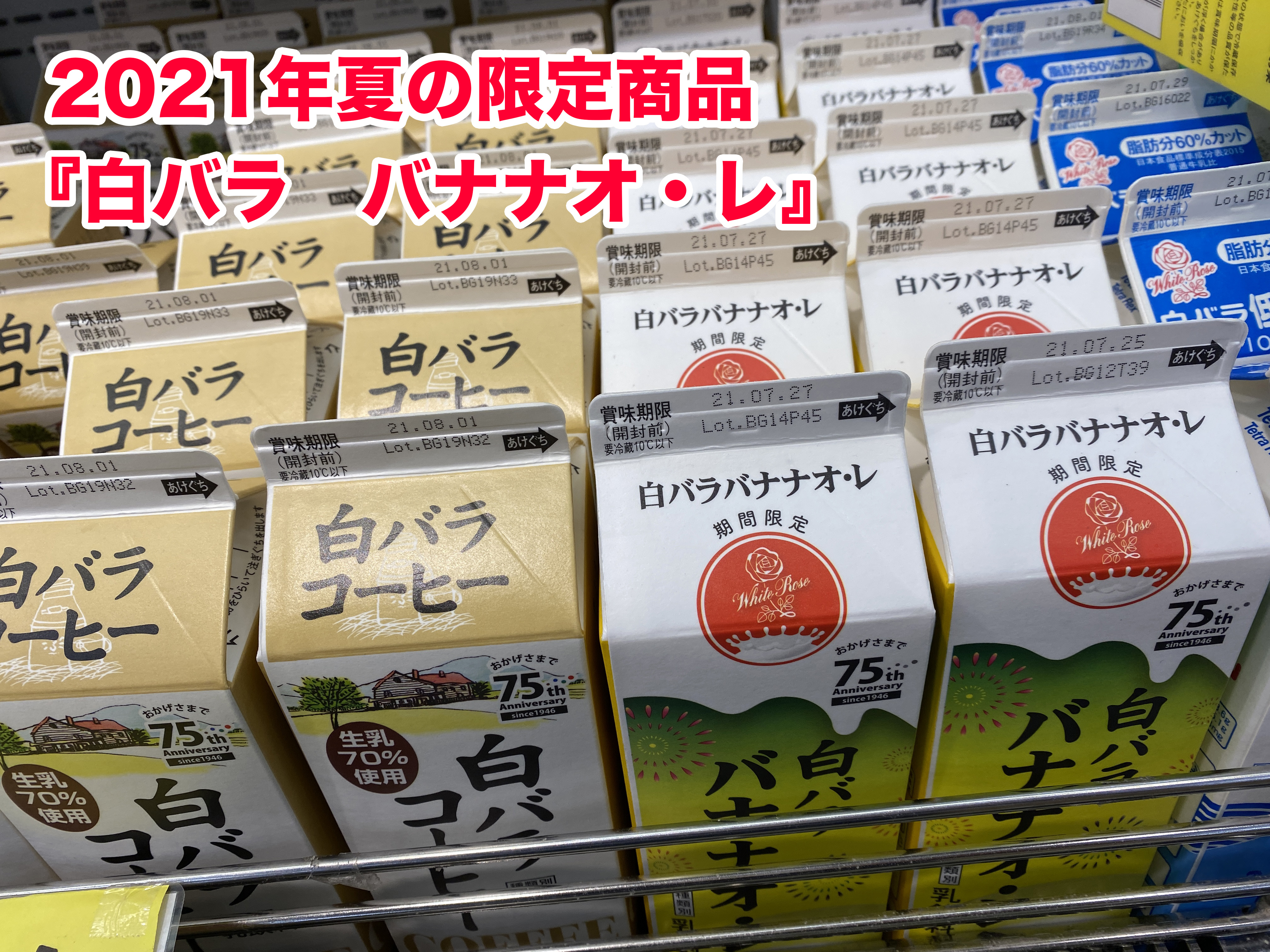 89%OFF!】 鳥取 大山乳業 白バラ牛乳 白バラコーヒー エプロン レア