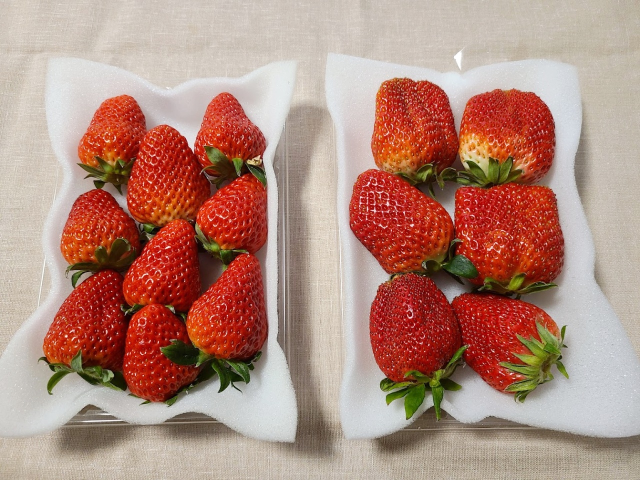 見るべきは形！ 八百屋さんが教えてくれた美味しい「いちご」の選び方