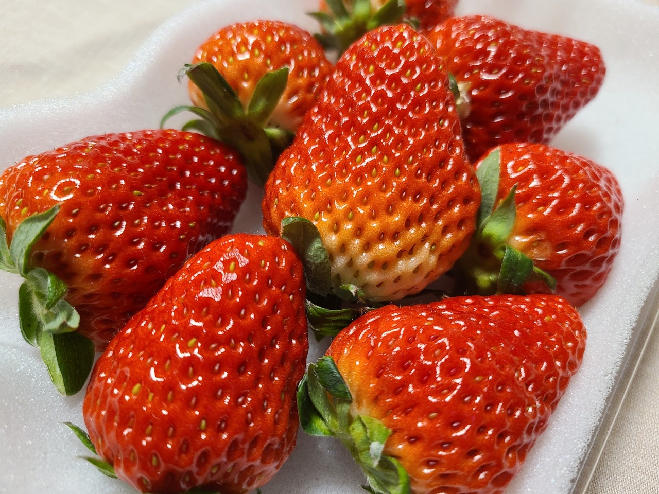 見るべきは形！ 八百屋さんが教えてくれた美味しい「いちご」の選び方