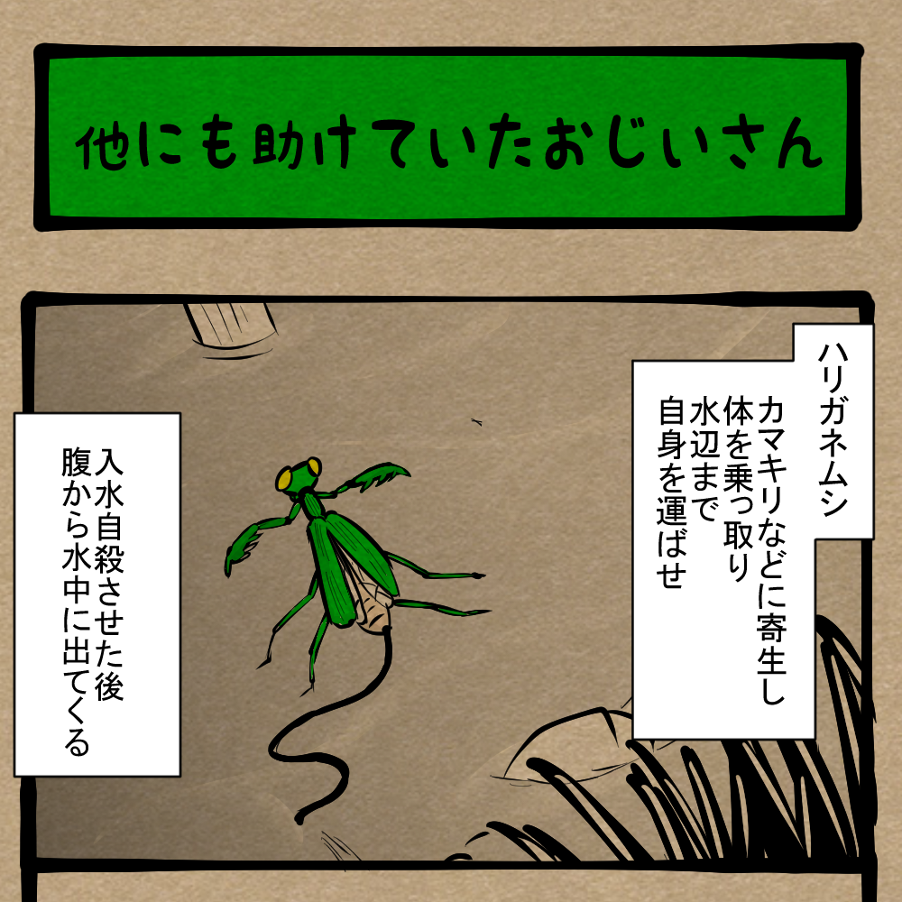 正体を知られた鶴 知りたくなかった食に関する怖い話 四コマサボタージュr第346回 他にも助けていたおじいさん ロケットニュース24