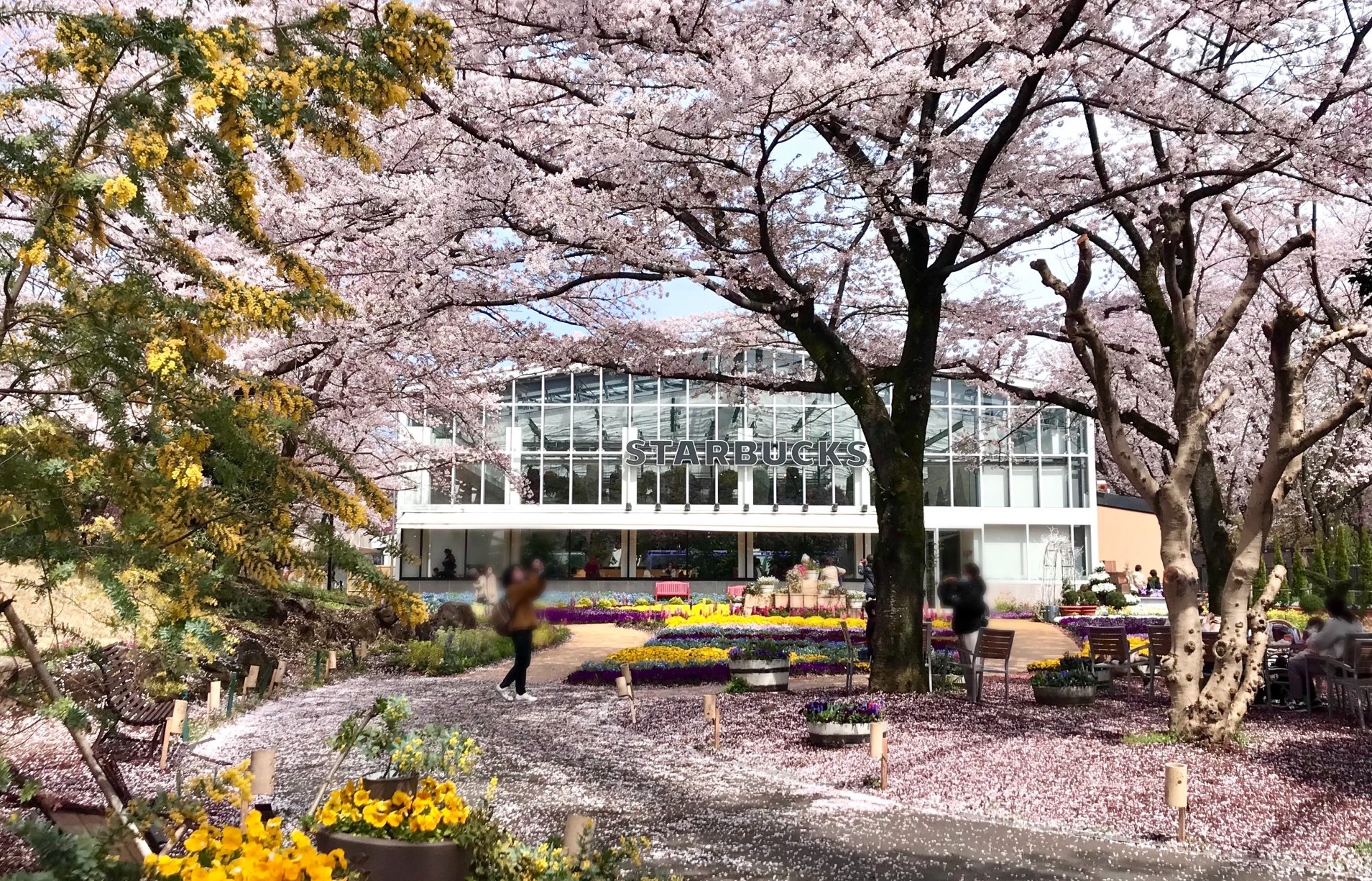 穴場】フラワーパーク「HANA・BIYORI」は最上級の癒やしスポット！ 花