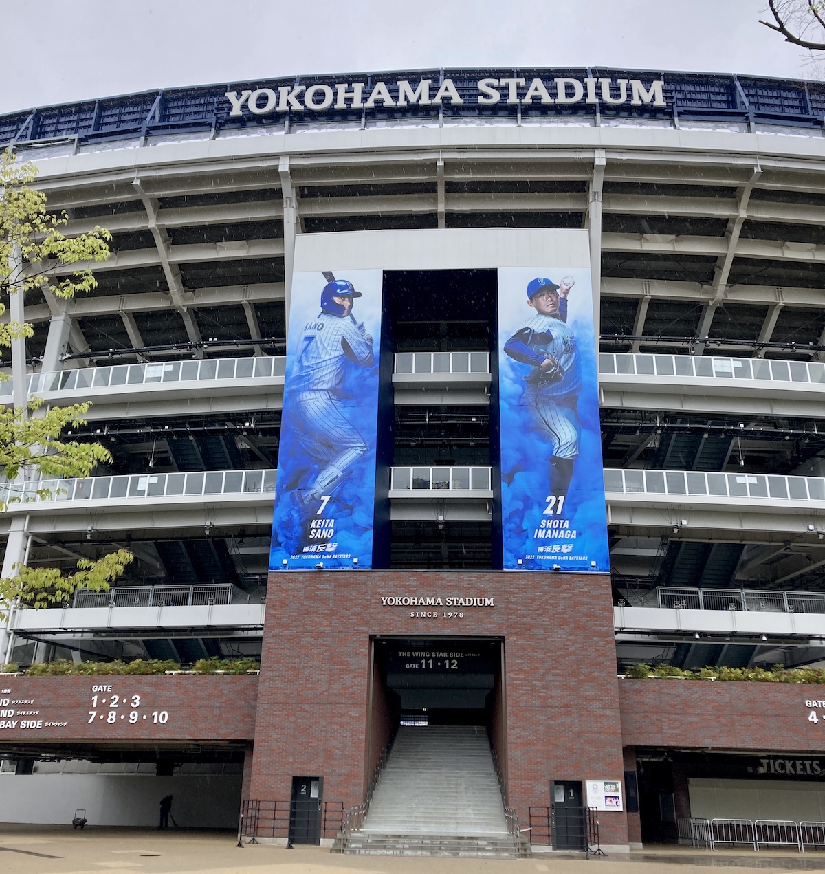 横浜スタジアムのバックネット裏にある超vip観覧席でテレワークしてきた 試合観戦の約100分の1の値段だから野球ファンは見逃すな ロケットニュース24