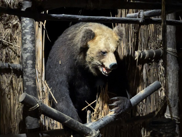 恐怖のクチコミであふれる史上最悪の熊害「三毛別ヒグマ事件復元地」で見たもの