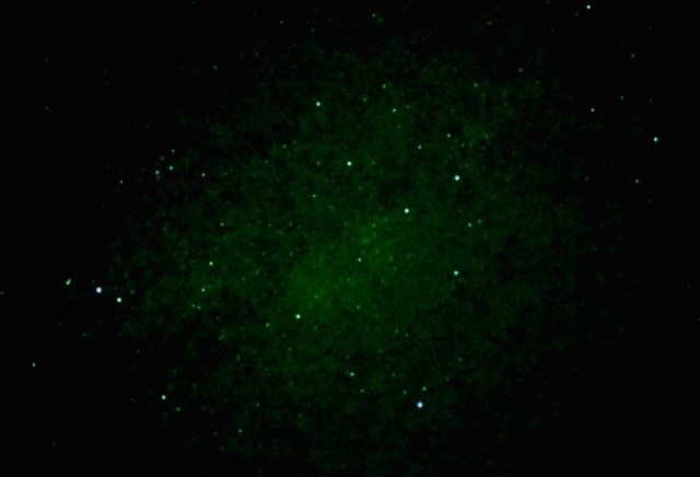 【検証】屋久島の星空が美しすぎたのでiPhoneXRでも写るんじゃないかと全力で撮影した結果