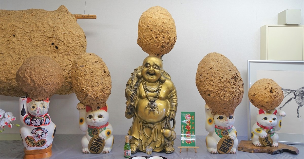 ギネス認定】世界一のハチの巣が展示された珍スポット『蜂天国』に行っ 
