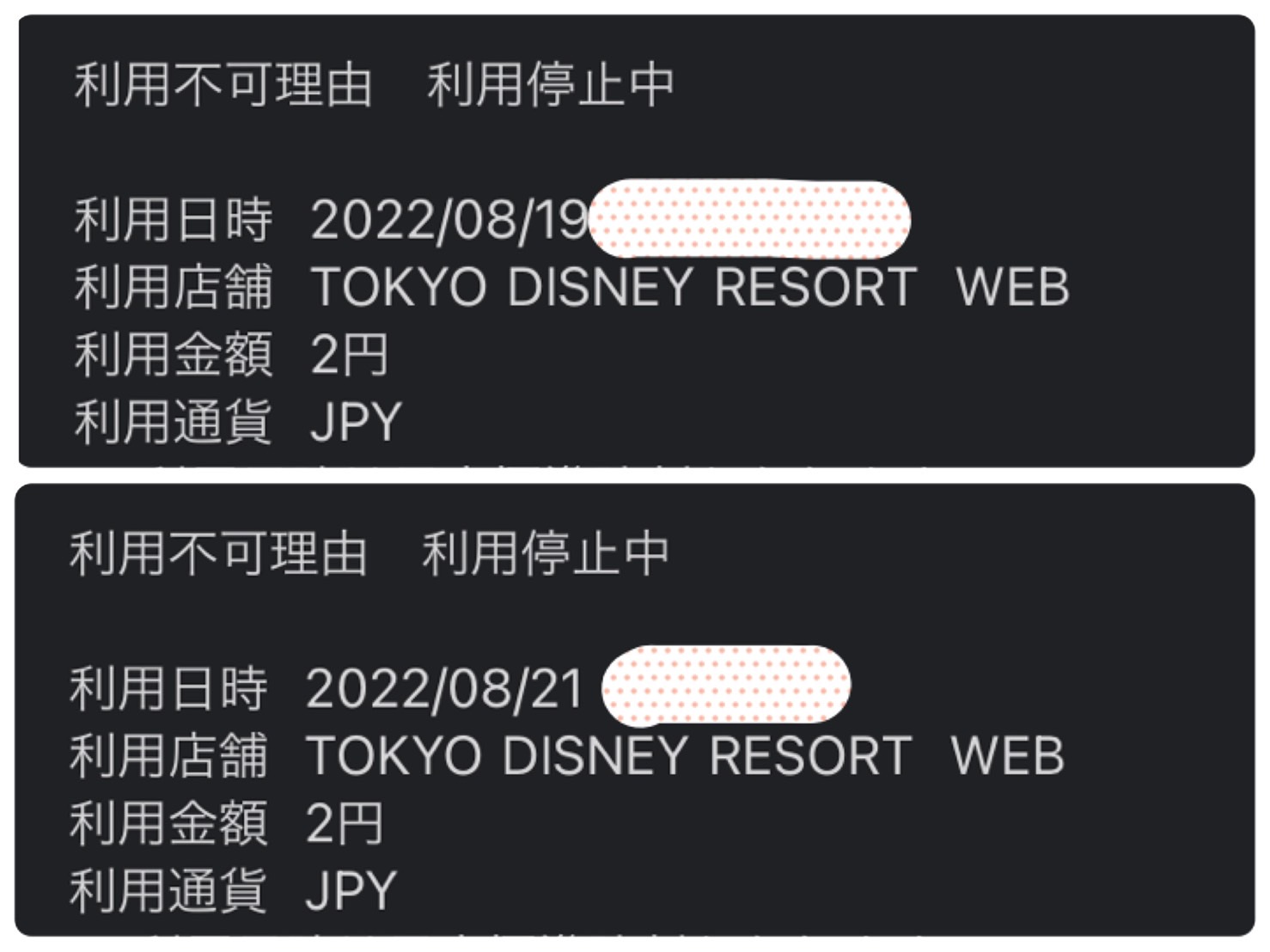 許さん】知らない人が私のお金でディズニーを楽しもうとしていた話 