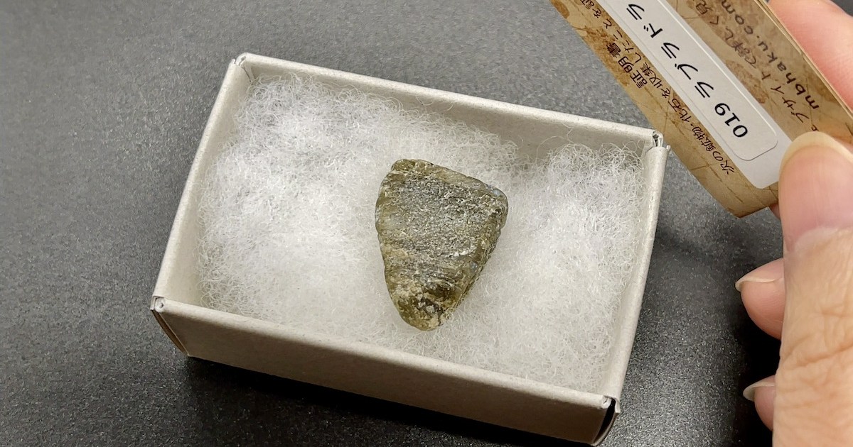 これ何!? 全130種の鉱物＆化石コレクターズトイで出てきた「石ころっ 