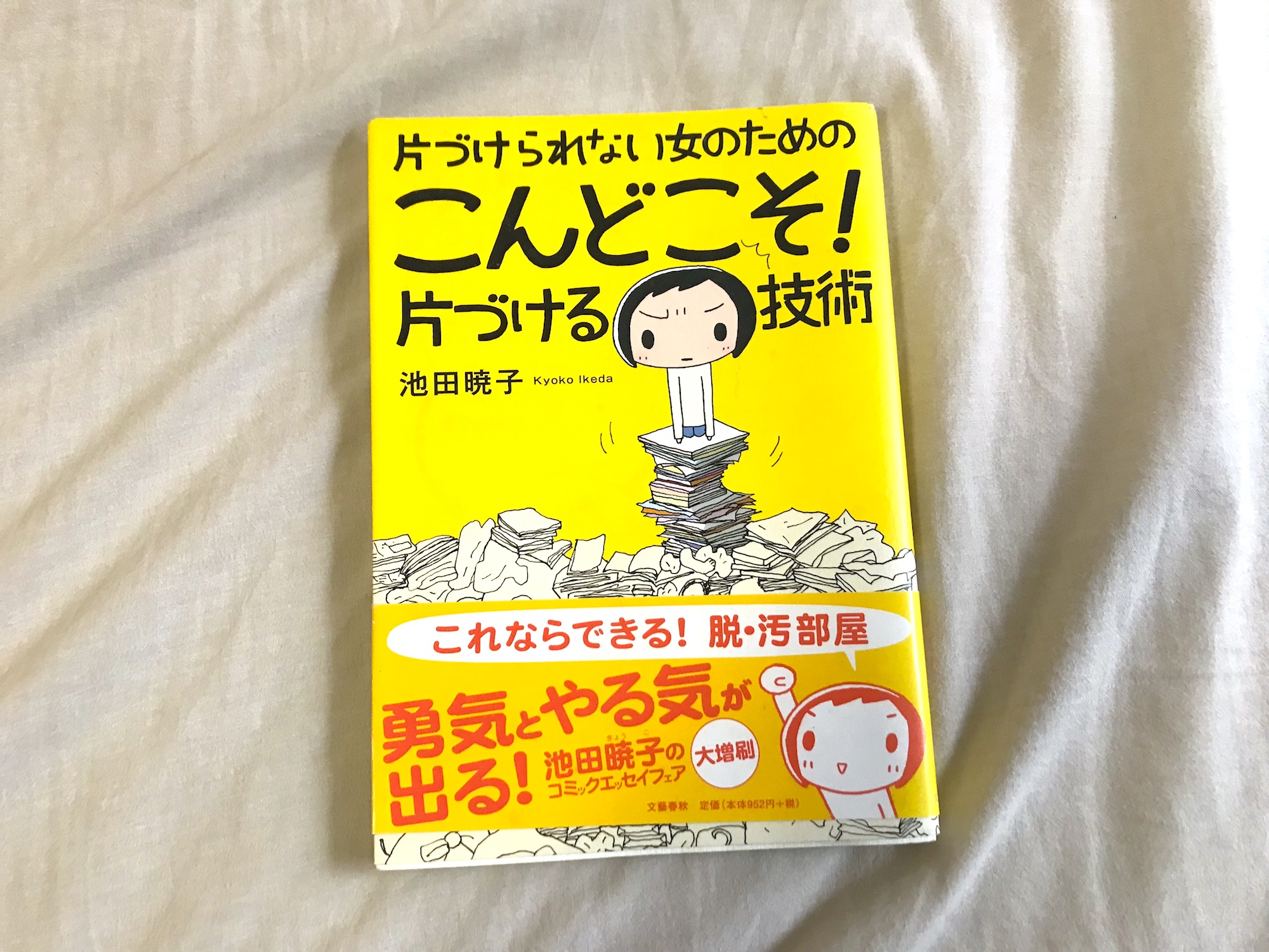 実録】小ダサい部屋から抜け出したい！ 外伝：絶望的な汚部屋を