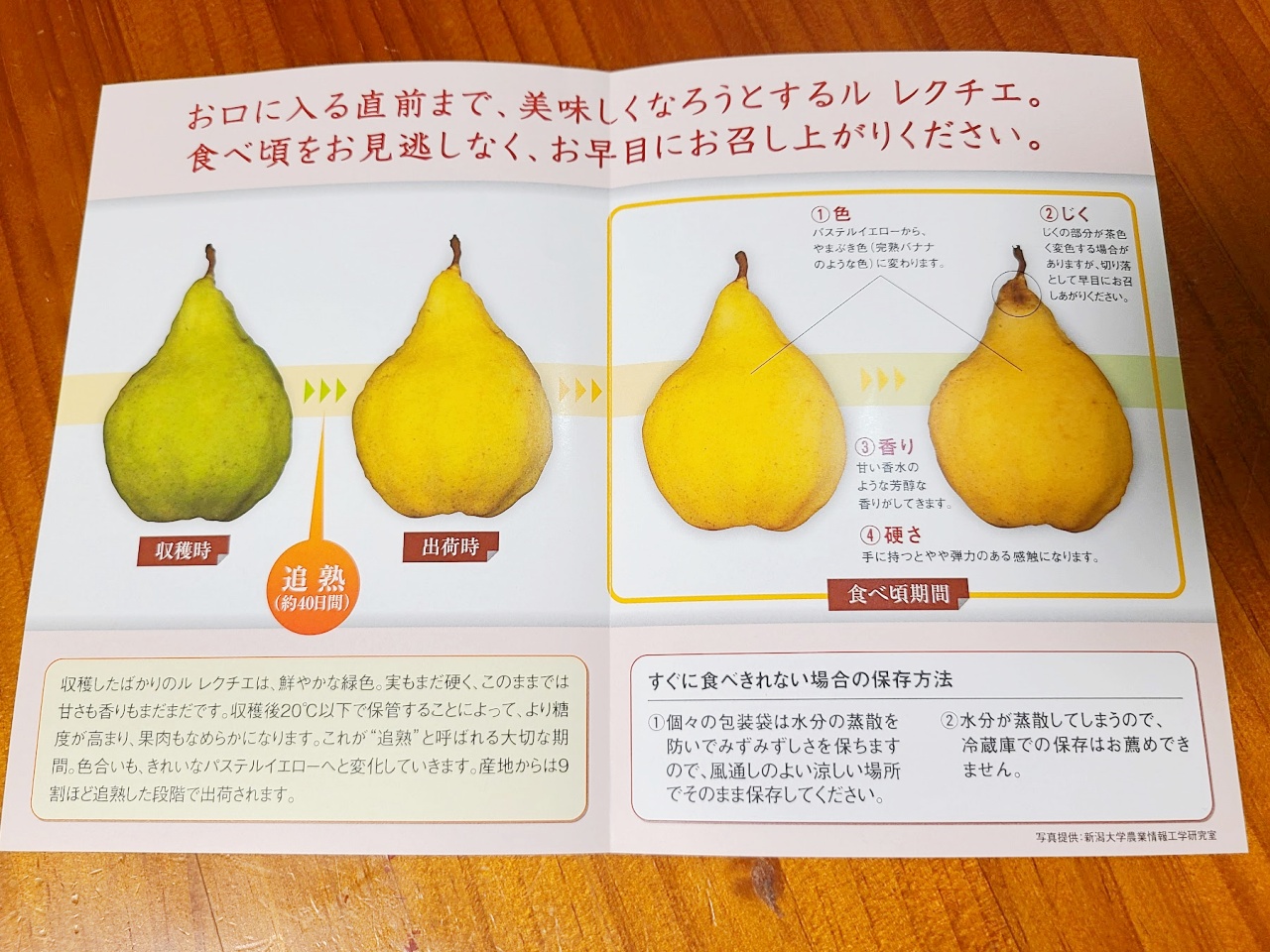 幻の洋梨】40日追熟！ 新潟が誇る黄色い洋梨「ル レクチェ」は果肉