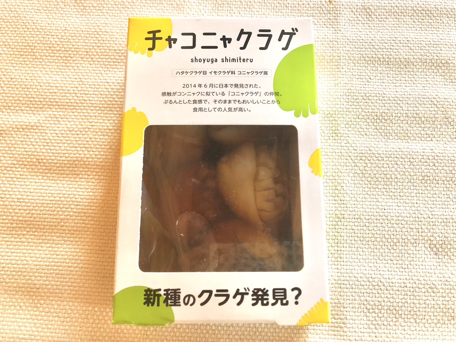 水族館のお土産コーナーに置かれていた「こんにゃく」を二度見した話