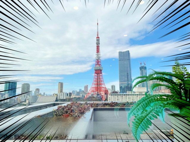 【役所メシ】港区役所の食堂に行ったら絶景すぎてメシ食ってる場合じゃなかった！ 東京タワーがこんな近くに…!!