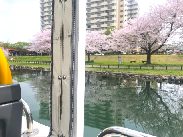 【花見】水陸両用バス「スカイダック」のお花見コースがめちゃくちゃ良い…隅田川＆荒川沿いの桜が間近に見えるよ