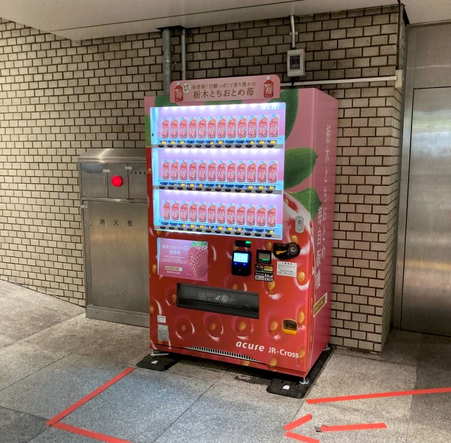東京駅にたった1台しか設置されていない自販機が ”とちおとめ” すぎる！ しかも設置場所がわかりにくいんですよ