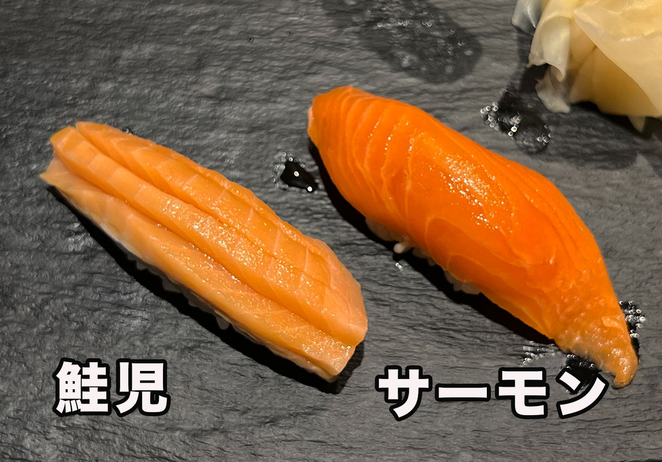 幻の魚「鮭児」と「普通のサーモン」の間には一体なにがあるというのか