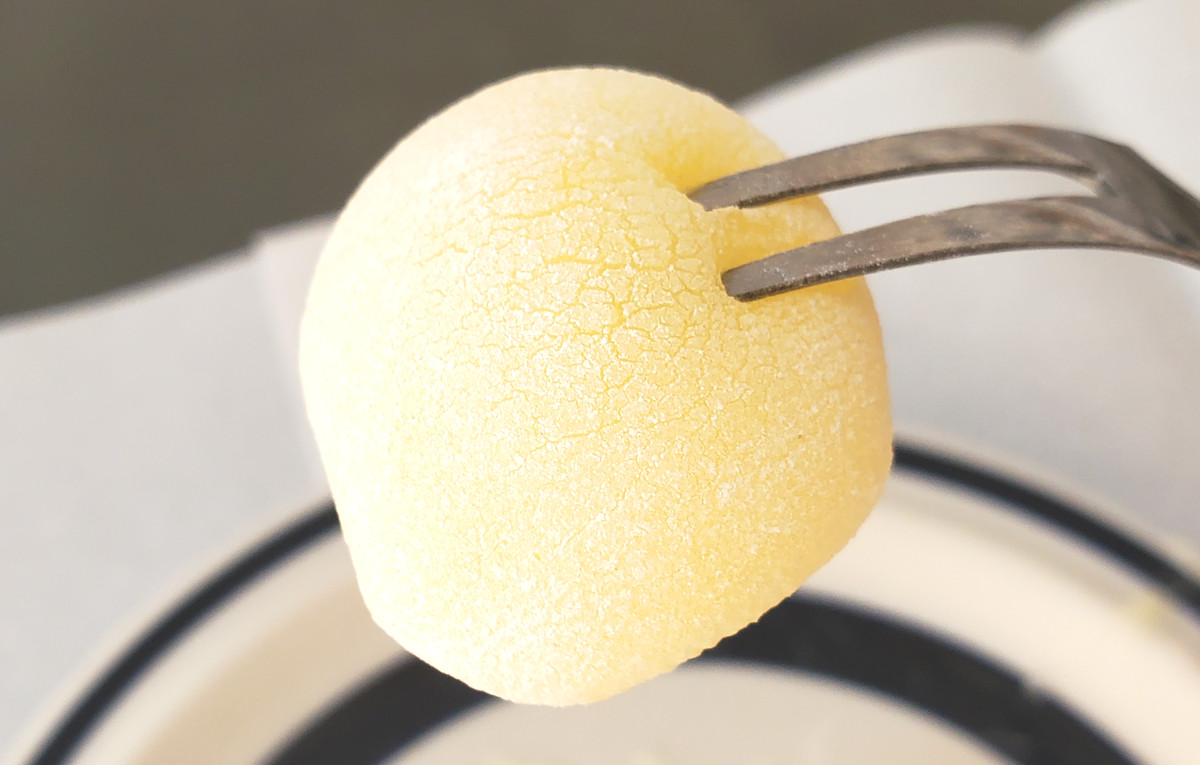 岡山県老舗の謎和菓子「スポーツきびだんご」を食べてみた / 革命を