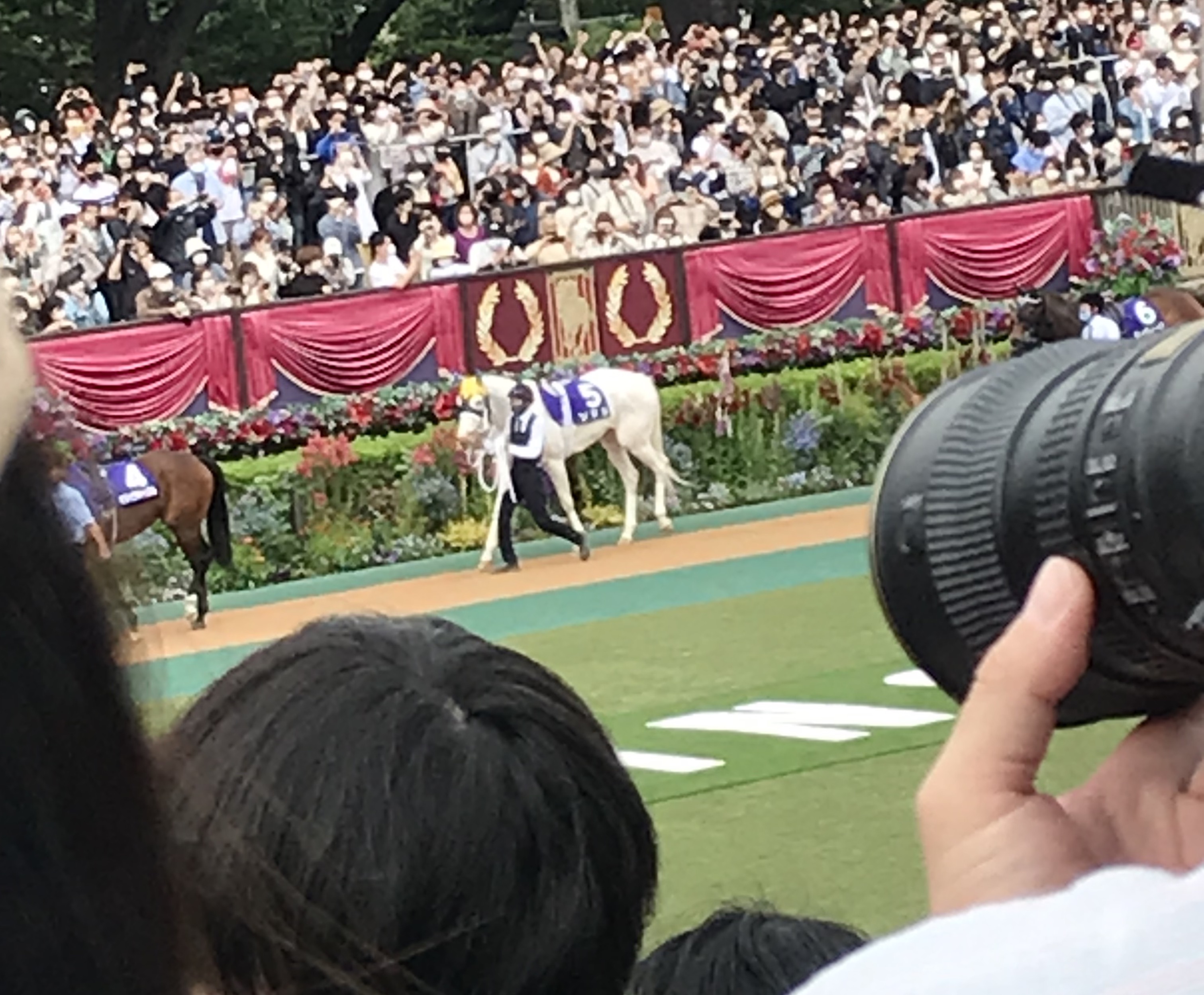 天皇賞・秋とジャパンカップを現地観戦して感じた競馬場の変化 / ウマ娘とソダシと入場予約システムと | ロケットニュース24