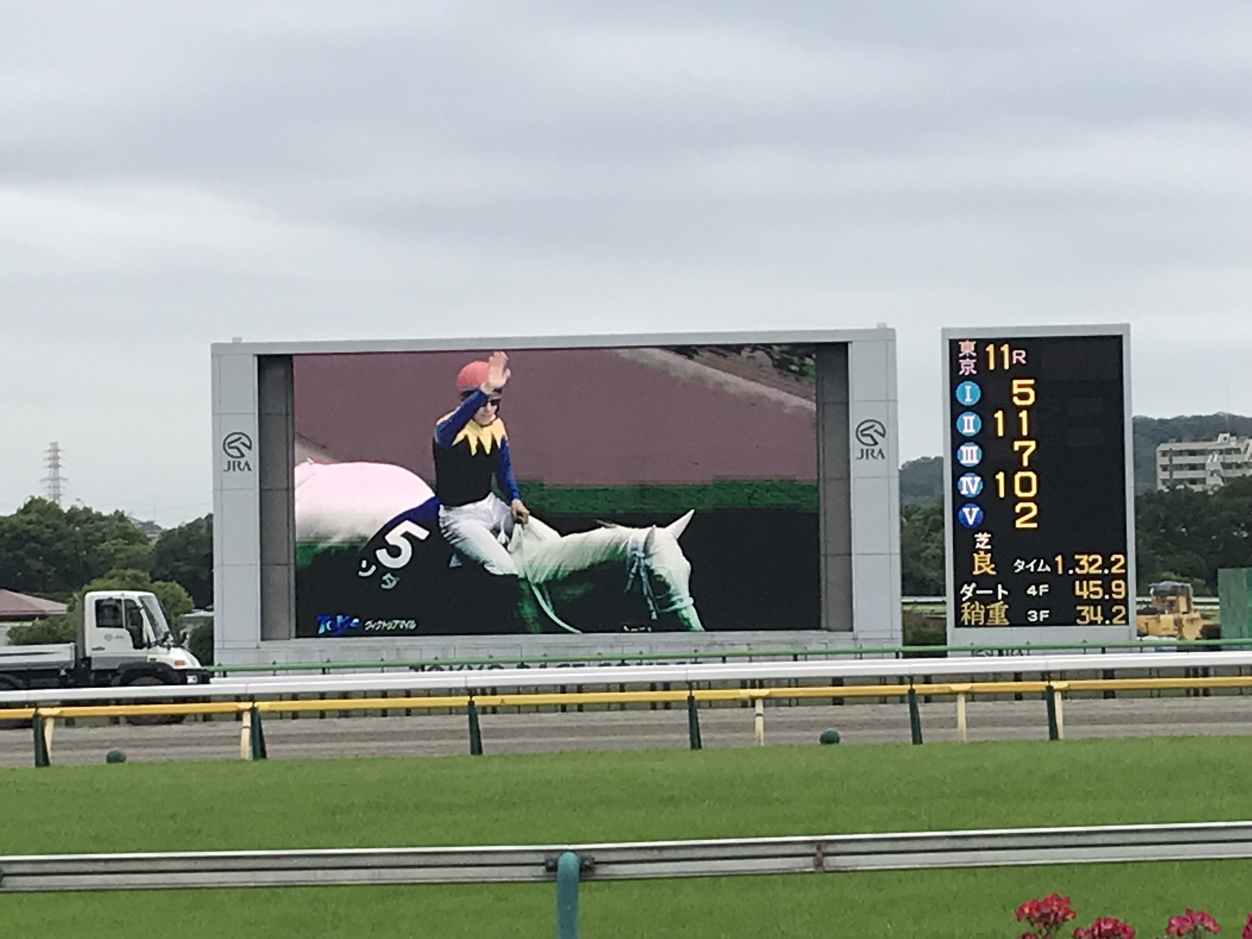 天皇賞・秋とジャパンカップを現地観戦して感じた競馬場の変化 / ウマ