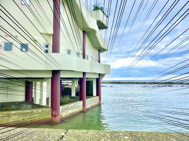 【新潟】海の上に建つ水族館「長岡市寺泊水族博物館」に行ったら、欲張りセットみたいな施設だった /  生き物も景色も堪能できる！