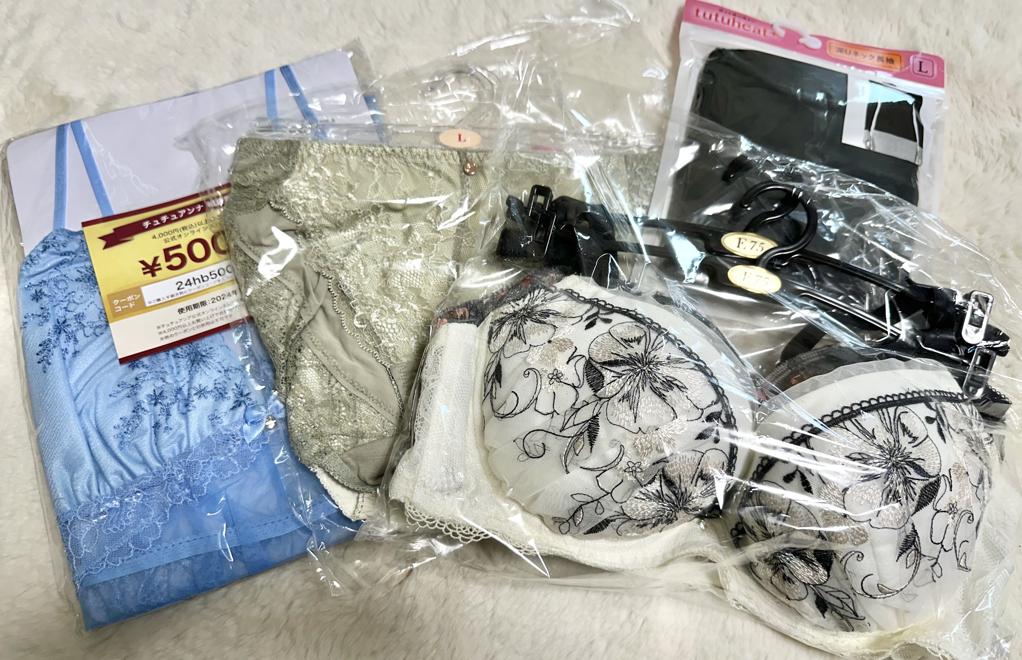 活動歴および当時の関連ビジュアル記録
