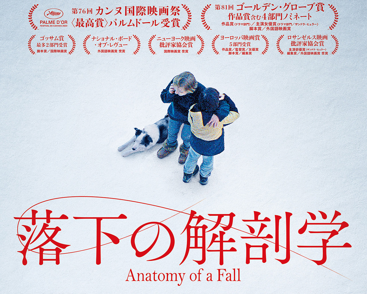 めちゃくちゃ気になっていた『落下の解剖学』が重い → これは、しんどい。なんとしんどい映画…