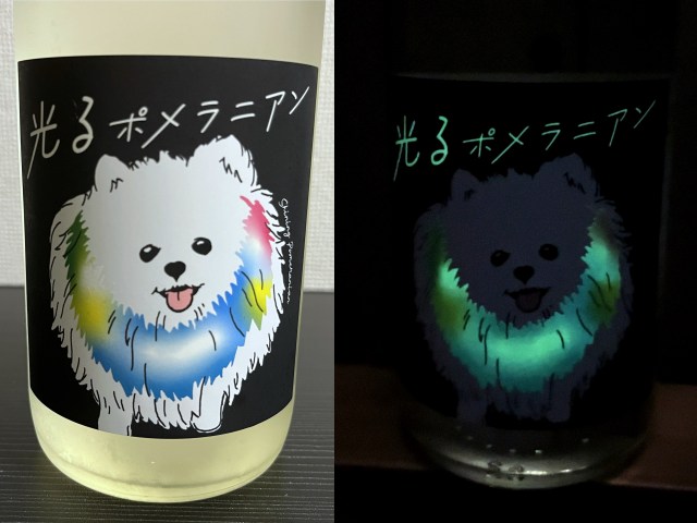 【かわいい】犬好きにはたまらない日本酒「光るポメラニアン」で初めて日本酒を飲んでみた