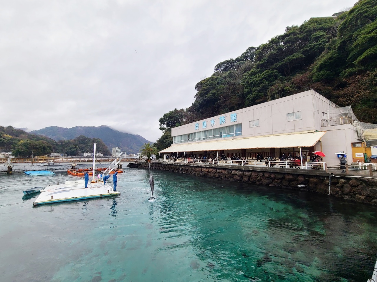 詳細レポ】惜しまれつつも閉園した「あわしまマリンパーク」の最終日を