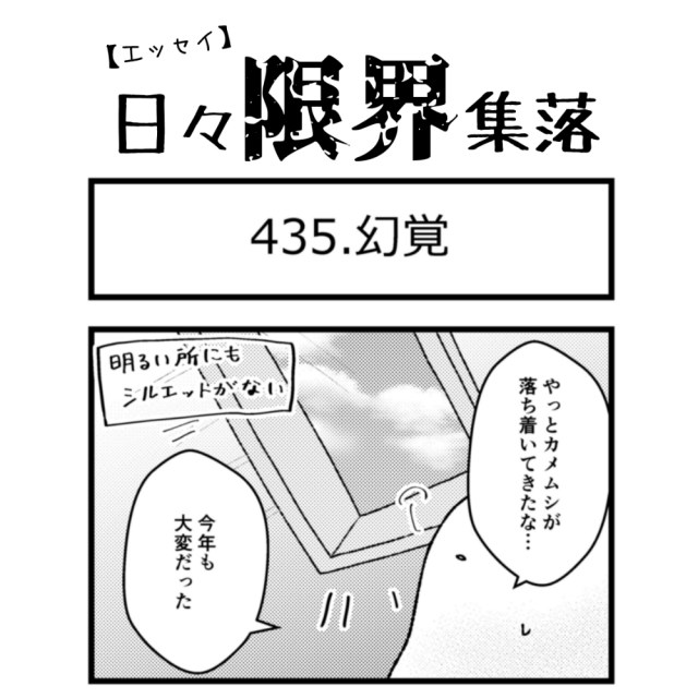 【エッセイ漫画】日々限界集落 435話目「幻覚」