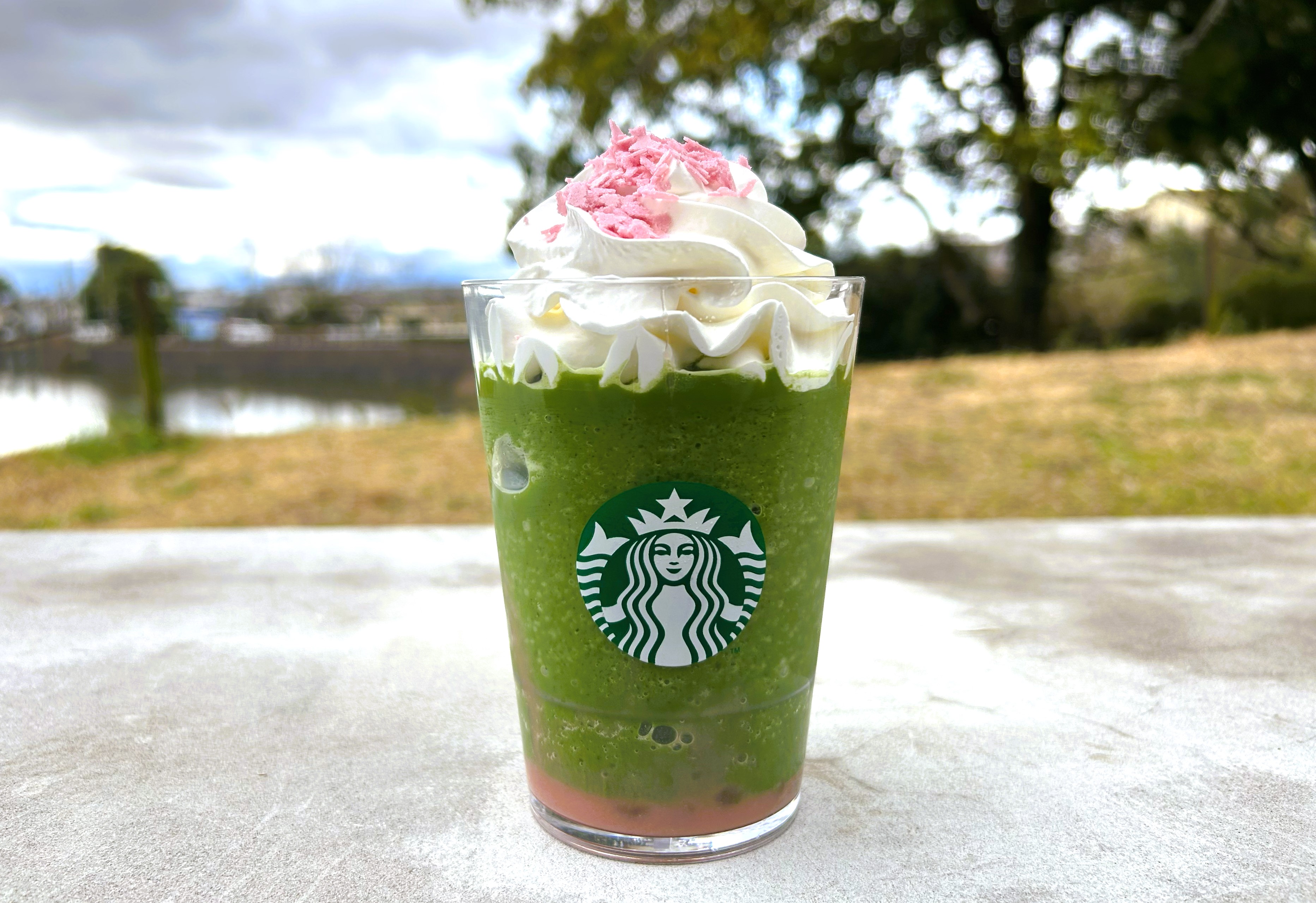 スタバ新作『花見抹茶 クリーム フラペチーノ』はシロップ抜き