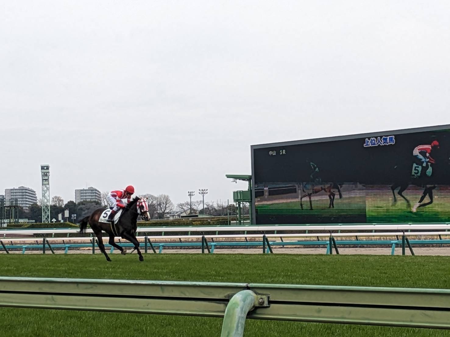 現地購入的中単勝馬券【3歳新馬（デビュー戦/初勝利）】タイム